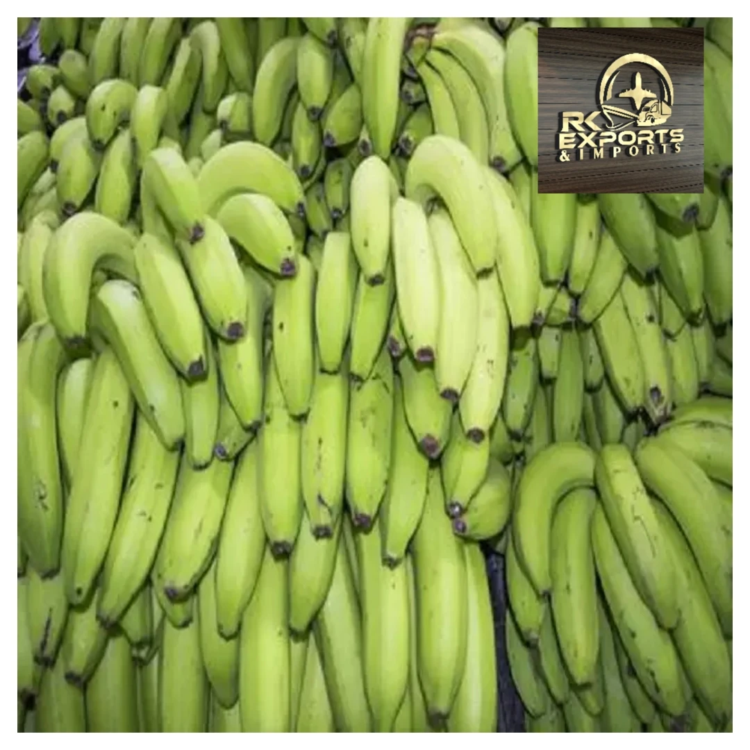 Fresh Cavendish Banana Exporters In India at 13 kg Cartons wholesale supplier and exporter from india tamilnadu  +919786060004