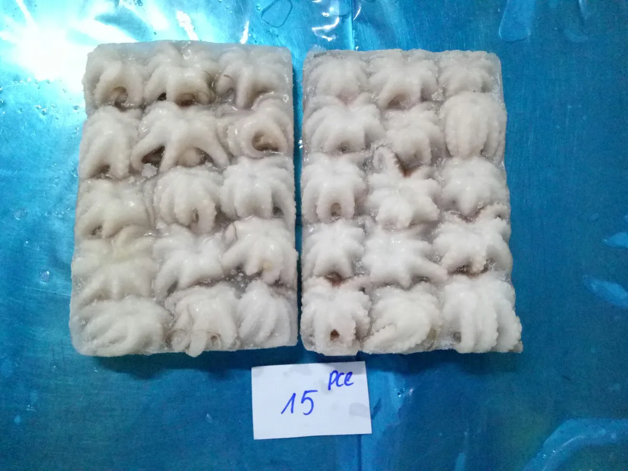 Exporting Bulk Reasonable Price Frozen Whole Baby Octopus From Vietnam Seafood