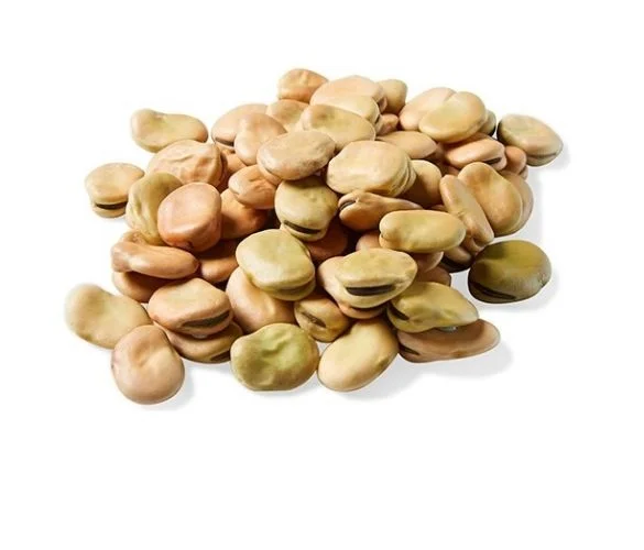 Premium Quality Dried Broad Beans / Dried Fava Beans