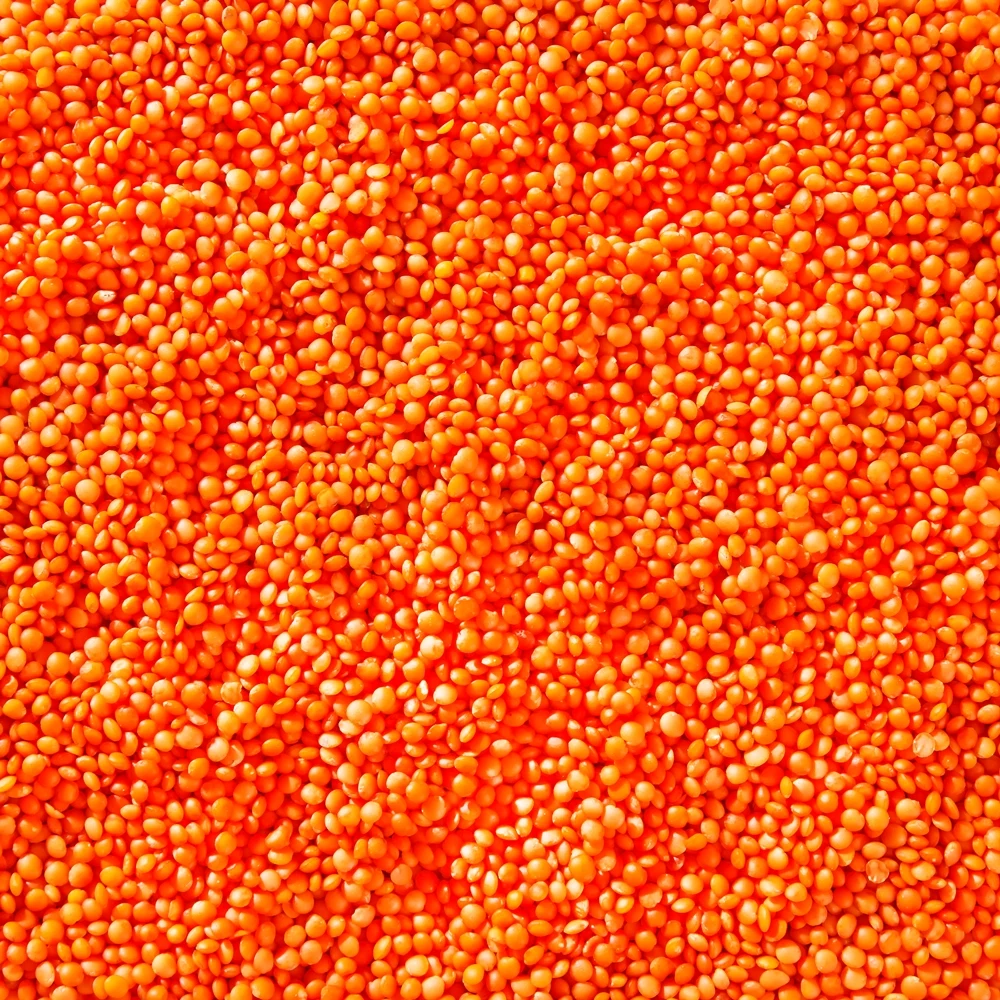 Affordable Wholesale Legumes - Hunkar Red Lentils
