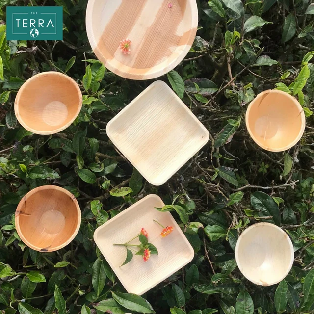 20 cm x 2 cm Natural Kitchen Home Garden Tableware Areca Leaves Disposable Round Food Plates 20 From Vietnam