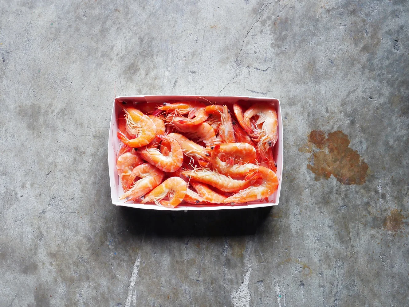COOKED RED SEA PRAWN 2.jpg