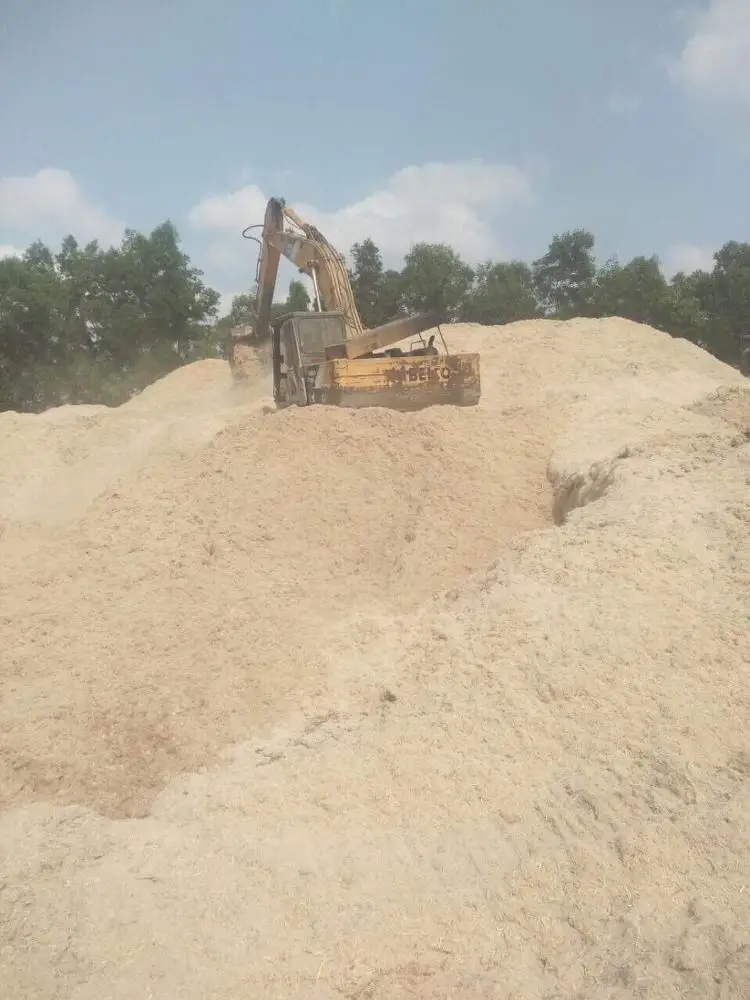 BAGASSE FIBERS/ BAGASSE/ AGRICULTURAL WASTE