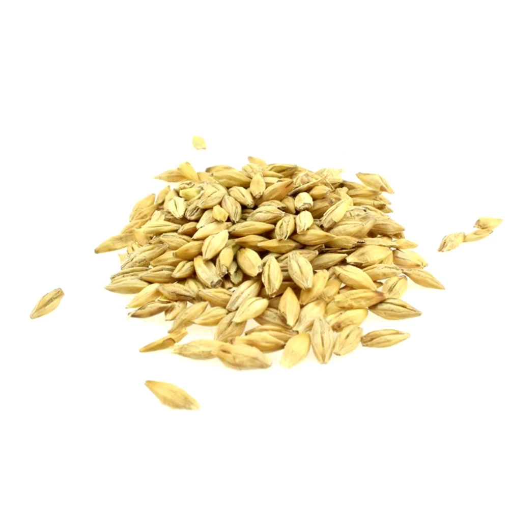 Great quality barley grain  25/35 kg bags or in bulk, from manufacturer