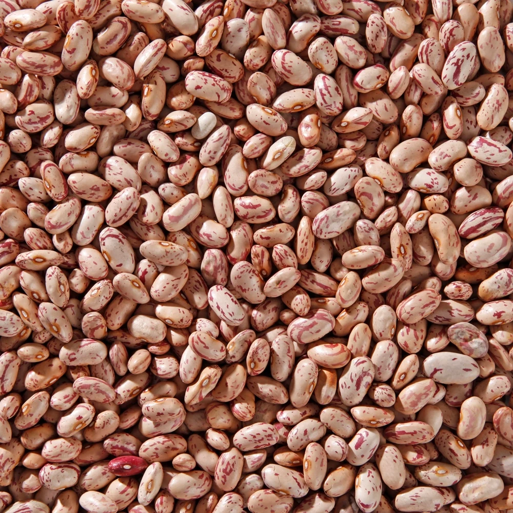 High Quality Wholesale Product - Hunkar Kidney Beans