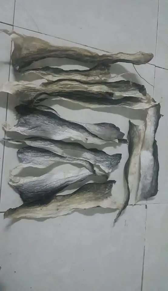 Pangasius сушеная рыбья кожа для производства коллагена из Вьетнама низкая цена-Whatsap 0084 989 322