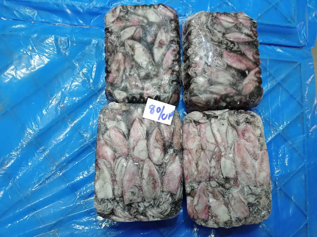 TOP QUALITY FROZEN BABY SQUID BQF FROM INDIA