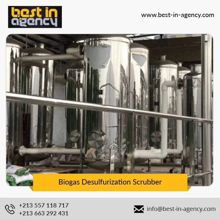 20~500 Nm3/H Biogas Flow Constant Pressure Feed to Generator Stainless Steel Biogas Desulfurization Scrubber