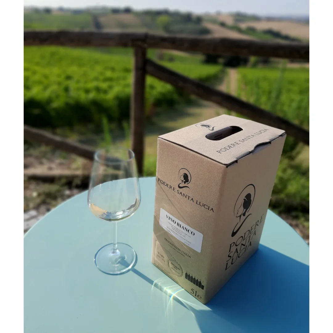 VINO BIANCO 5 литров итальянское высококачественное белое