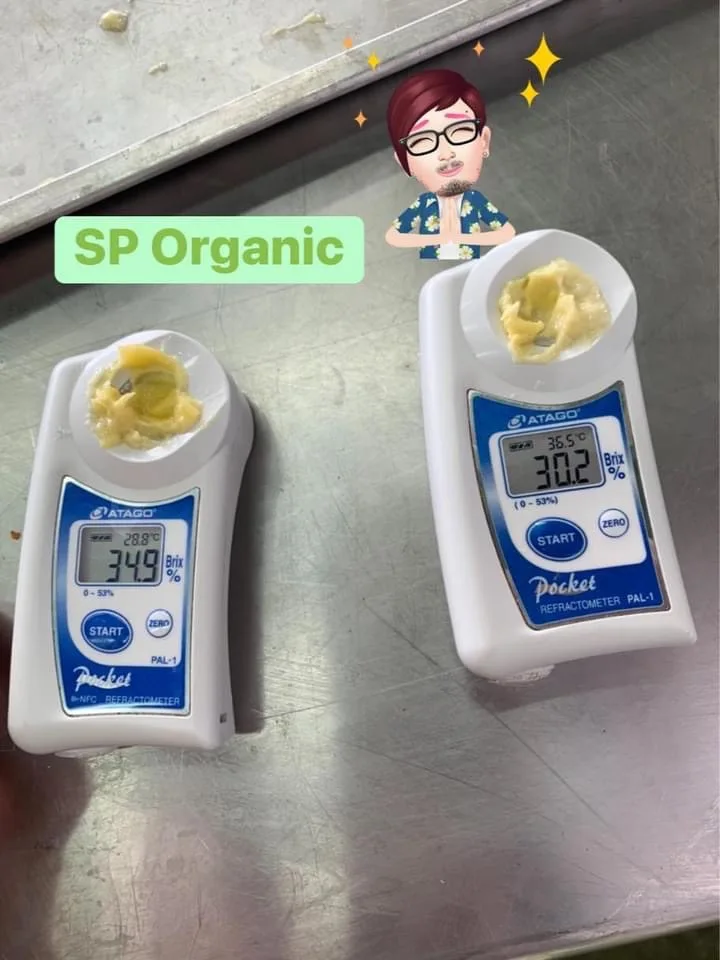 Премиум Замороженные Monthong дуриан Таиланд от SP Organic International Ltd