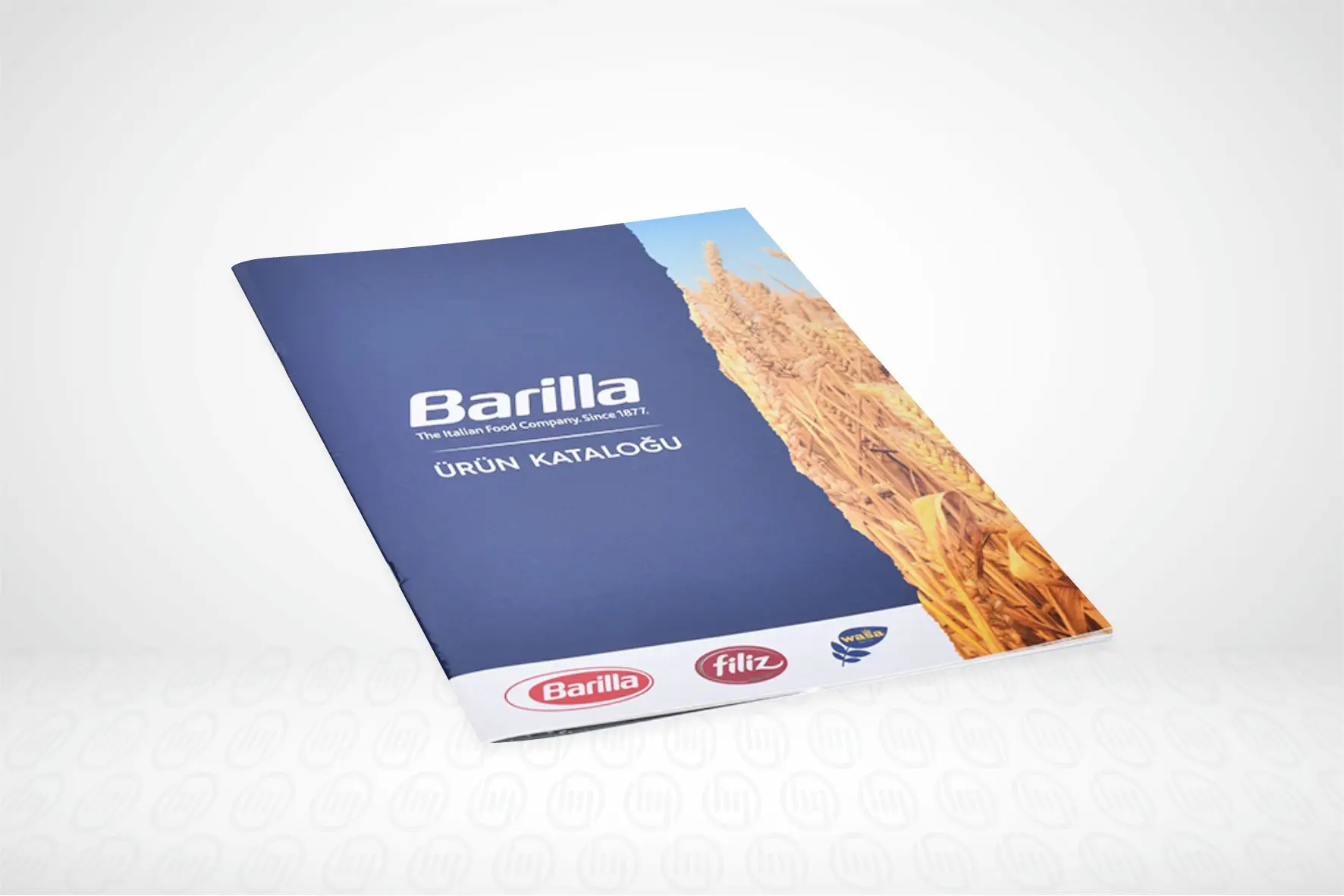 Catalogue Prints manufacturer manual booklet professional low cost High quality offset primtimg