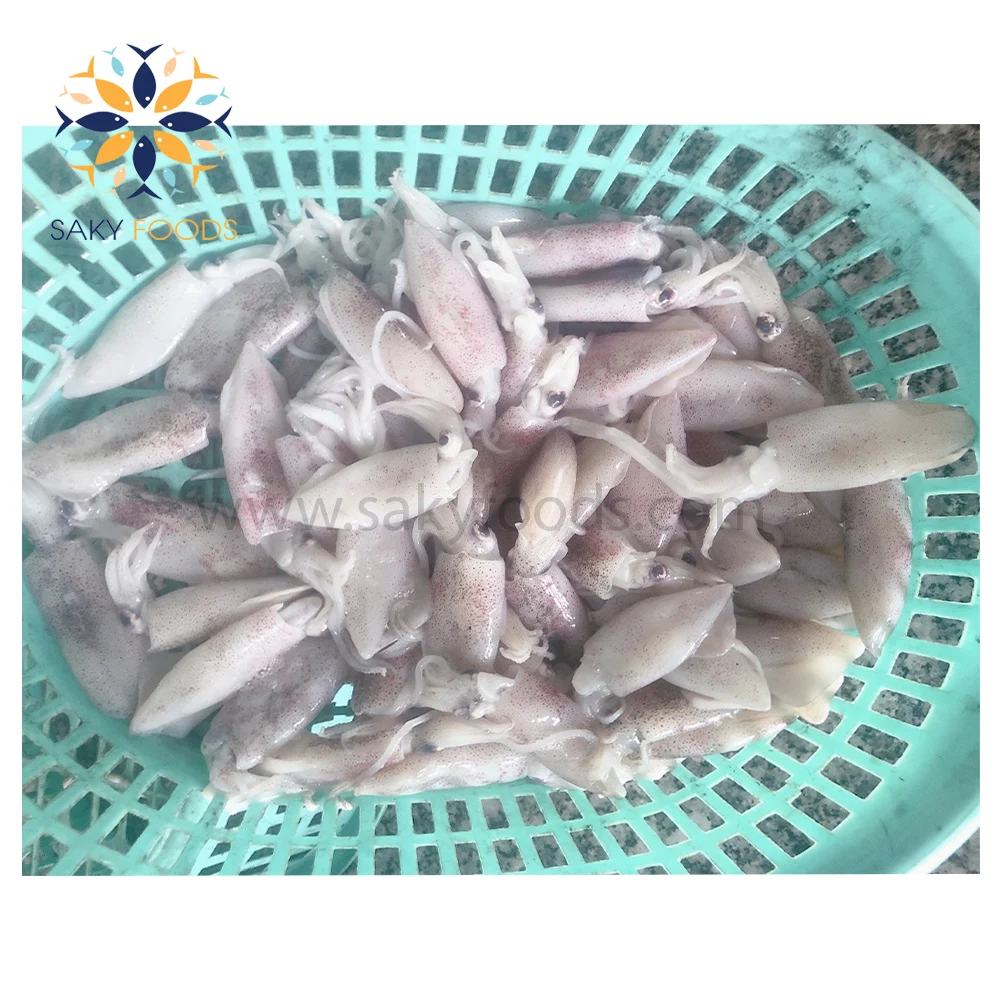 New arrival Seafood Good Price Wholesale Frozen Whole Squid