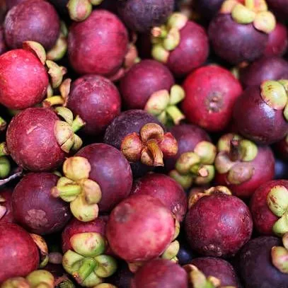 
Fresh Fruit Special Class / Mangosteen Fruit The Top Grade (Julia +84 984 650 841) 