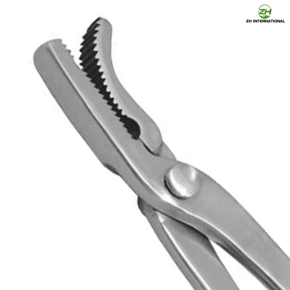 Nail Clincher Horse Hoof Care Tools Farrier Tools Best Tools