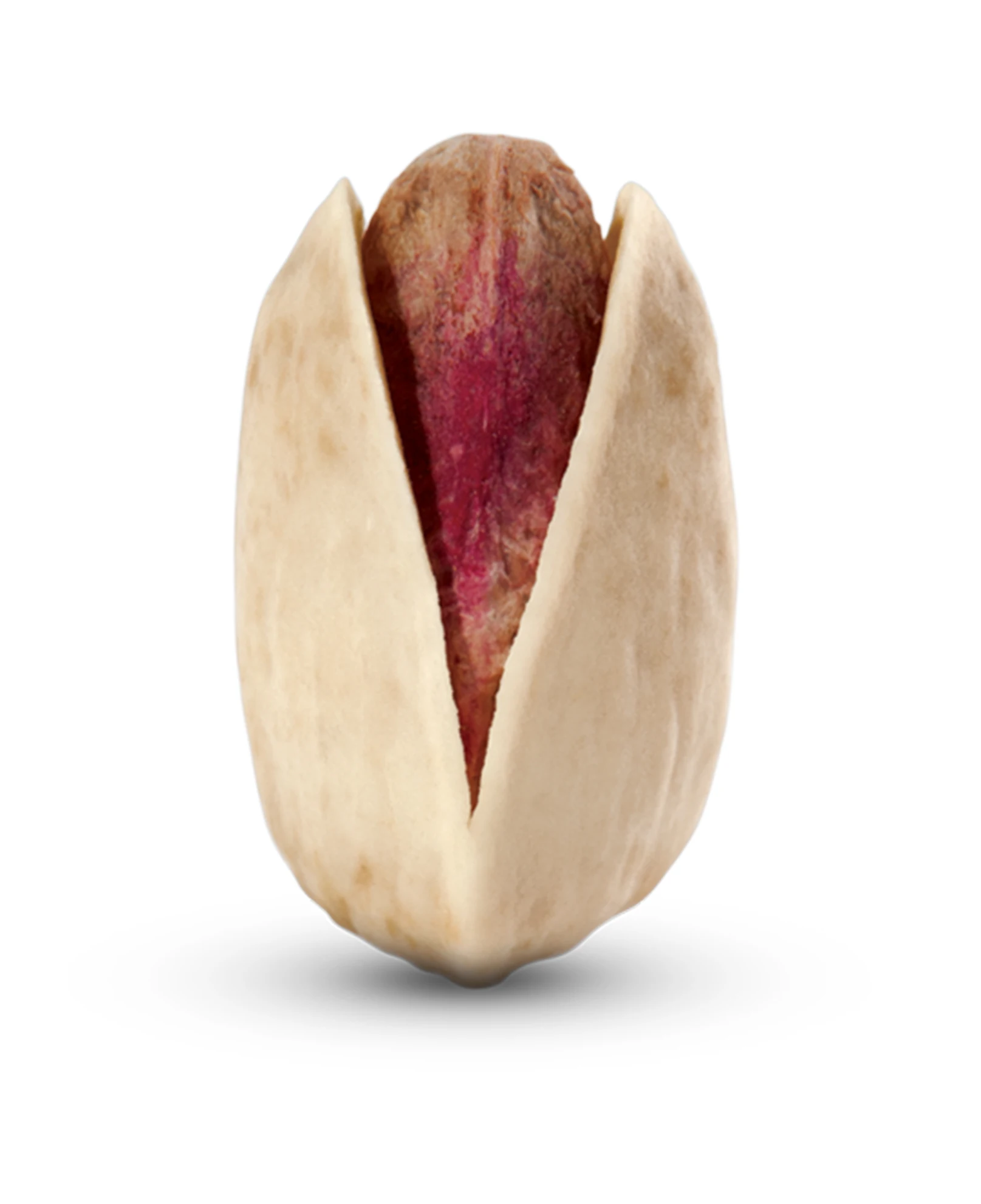 Almond shaped highest economic value dried white pistachios nuts