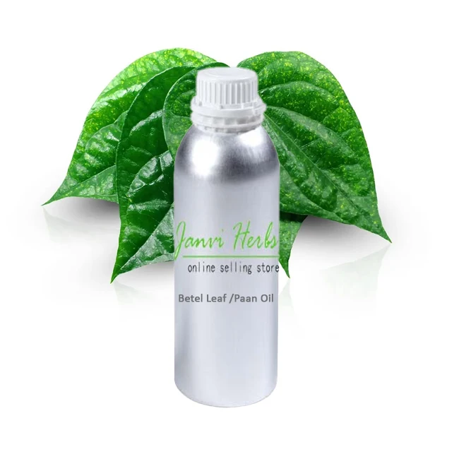 100% Pure Natural Essential Oil Betel Leaf Oil Essential Oil Supply at Low Price