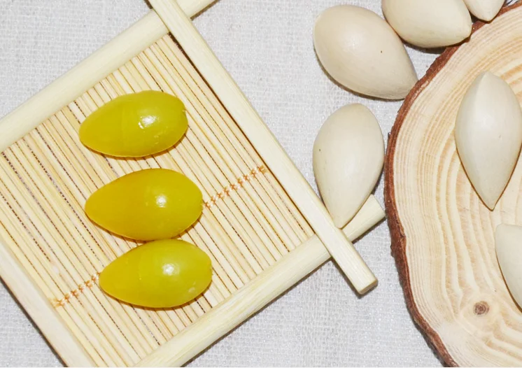 
Bai Guo Best Price dried Quality Ginkgo Nuts For Sale 