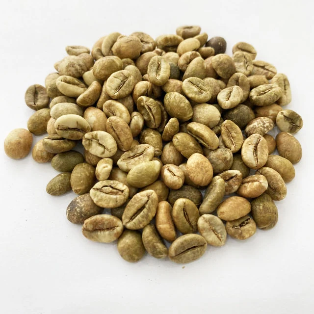 Vietnamese Supplier Green Coffe Wet Polished COMMON Coffee Green Bean Food Beverage Drink Arabica Bean Coffe