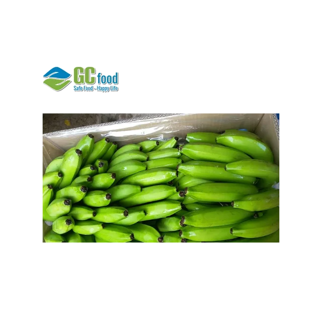 (GC Food)  Fresh Cavendish fresh  Banana  best - 100% High Quality Green Fresh Cavendish Banana pure with  from Vietnam