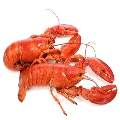 Frozen Lobster.jpg