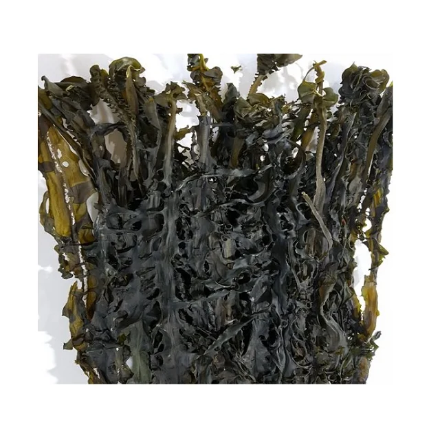 
BEST PRICE Korean Organic Sea Mustard Edible Seaweed Wakame Miyeok 