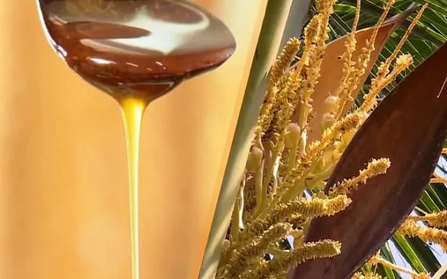 Для овощей-кокосовый продукт кокосовый нектар сирап специальный fooo из Вьетнама // Jolene + 84 336089155