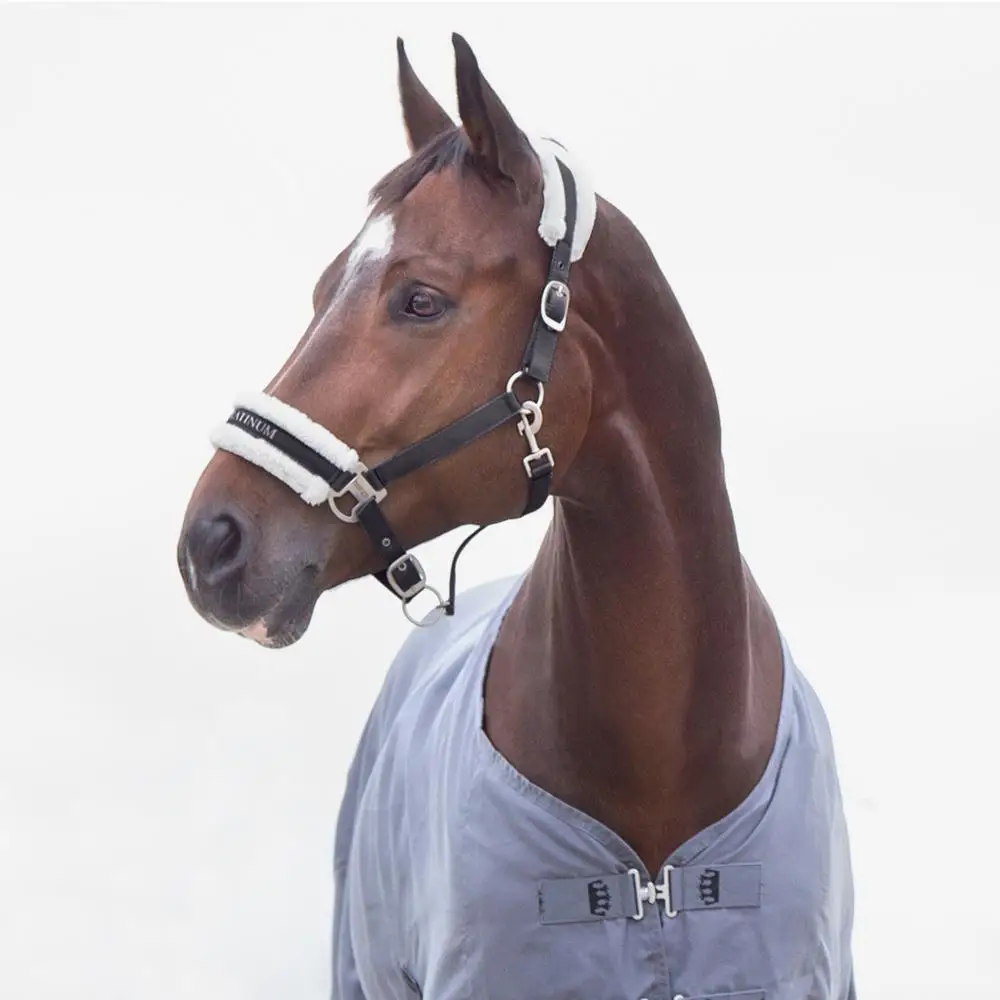 
Top Quality Halter Soft Nylon Webbing Great Value Priced Halter is Perfect For Every Day Use 