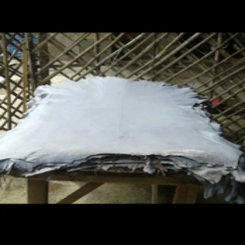 Genuine Leather Cheap Wet Blue Arabic Sheep Skin Hides/skins Goat Cow Ostrich Wetblue Hollandi