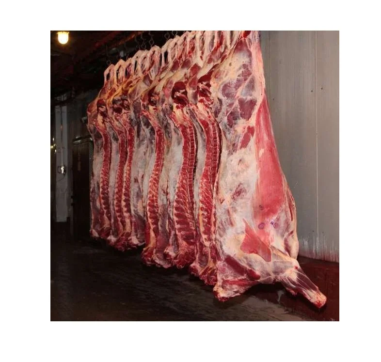 Top Grade Frozen Lamb ,Sheep Meat Wholesale Price Frozen Lamb ,Sheep Meat