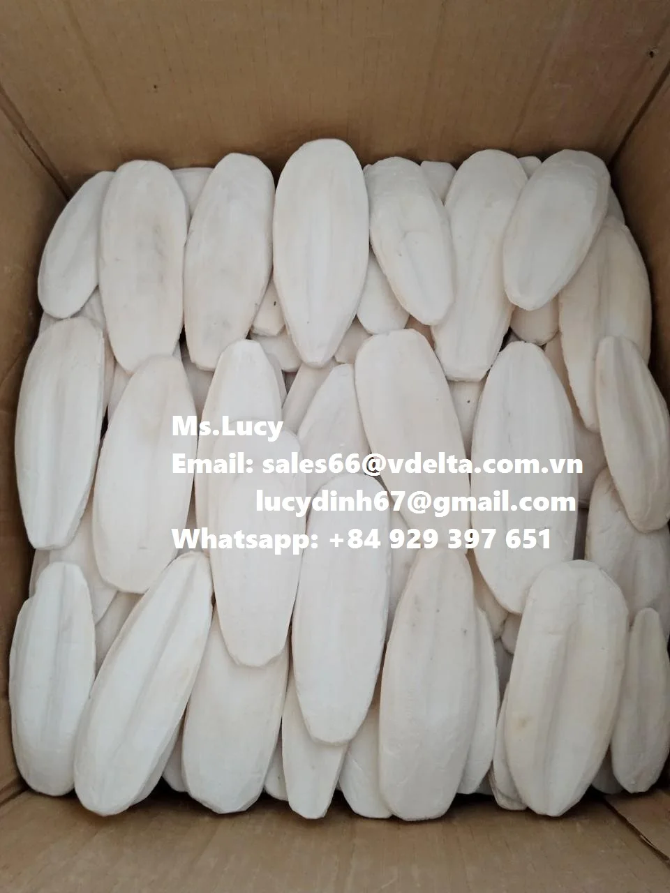  Хит продаж кости для морской слепки из Вьетнама Whatsapp + 84929397651