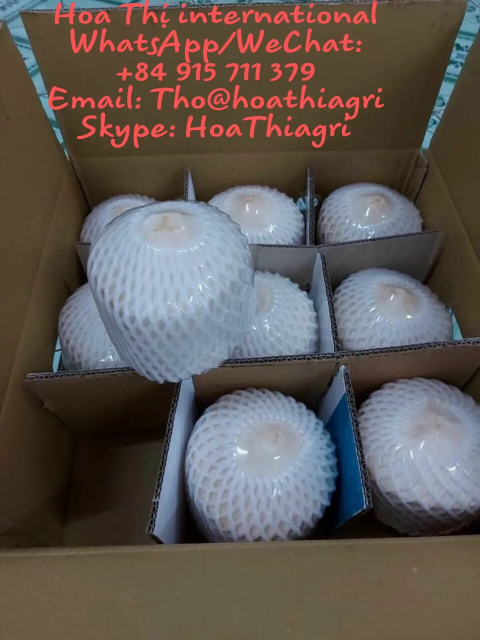 Свежий молодой кокос высокого качества по конкурентоспособной цене для экспорта, готов к отправке, Европейский азиатский рынок