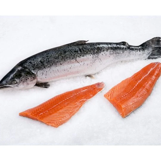Premium Quality S-G-S Approved - Frozen Atlantic Norwegian Salmon Fish