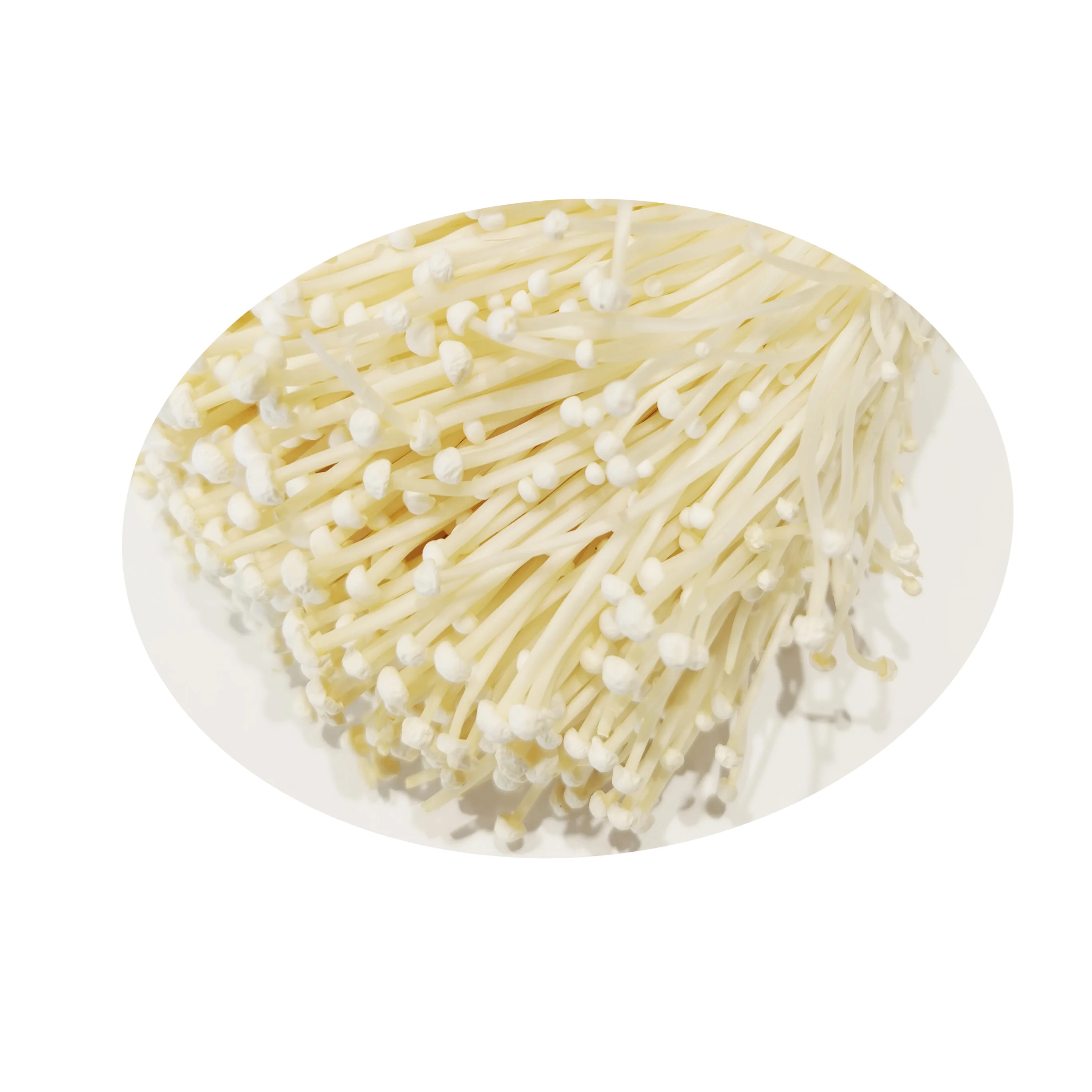 with wholesale price Chinese fresh enoki mushroom