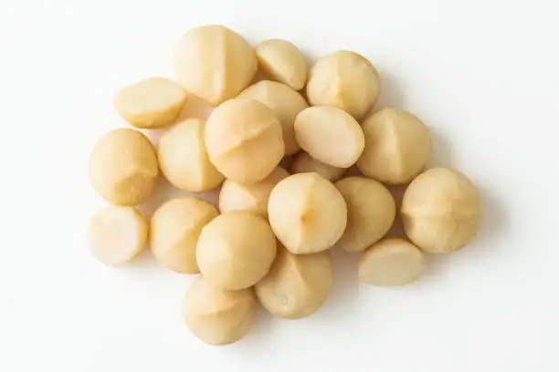 60g Roasted Dried Nibbles Premium Australian Roasted Salted Macadamia Nut Made In Australia