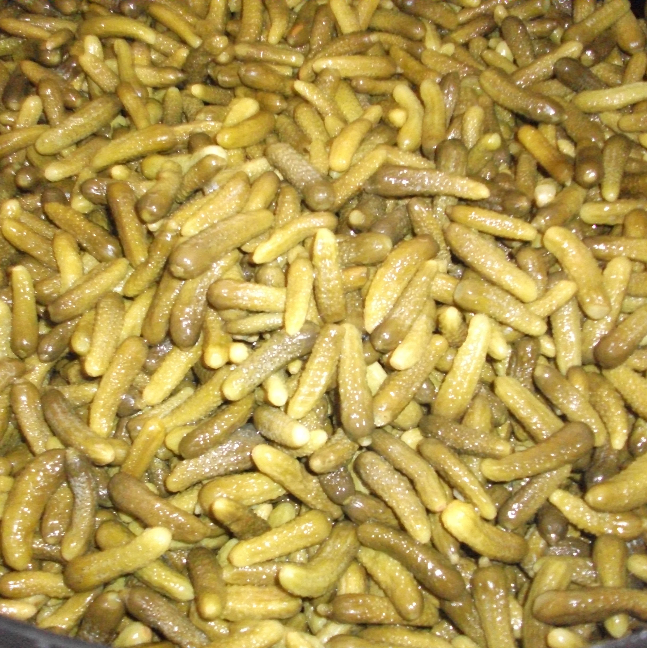  Высококачественные корншоны из уксусной кислоты изготовленные в Индии Доступна Оптовая Продажа на заводе для пищевых продуктов