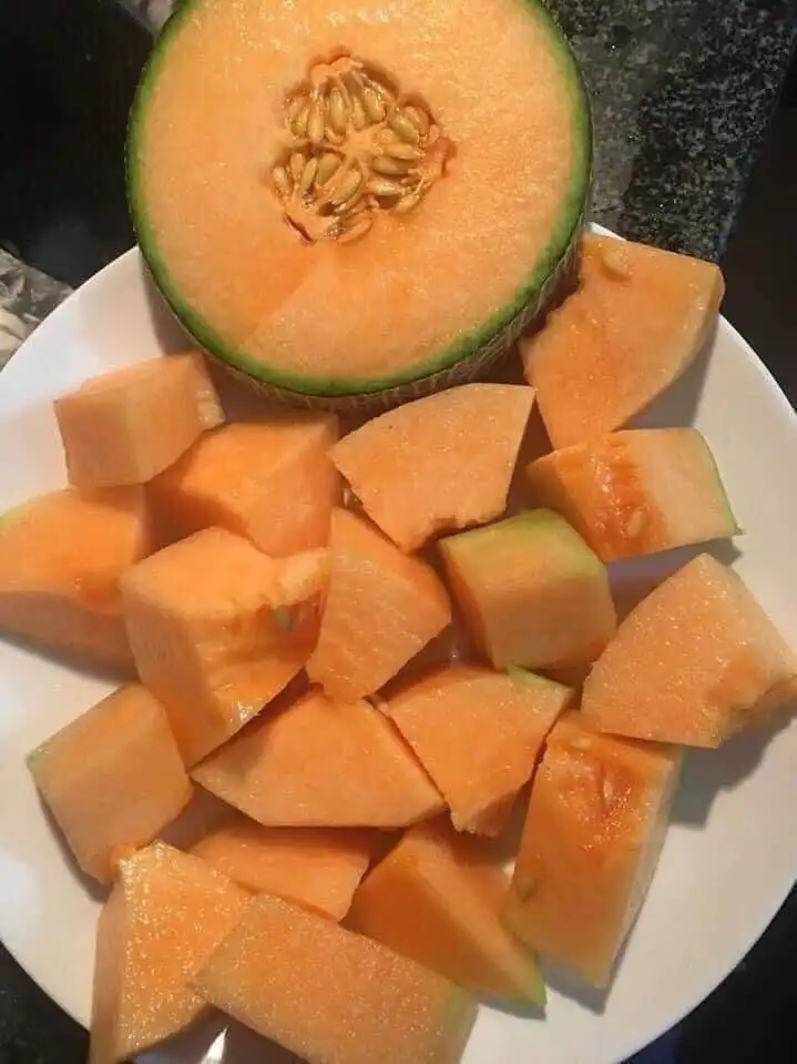 
Premium Cantaloupe King Melon Taken Care By Japanese Standard Procedure 