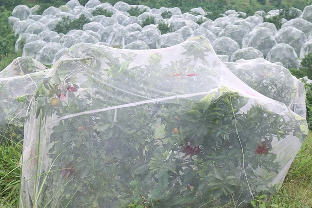 Тюлевая ткань 100% полиэстер тюль мягкая сетчатая оптовая продажа тюля во Вьетнаме