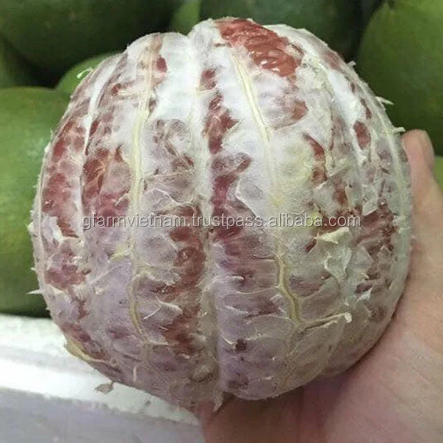 
2019 new Fresh pomelo Vietnam for sale with best price 