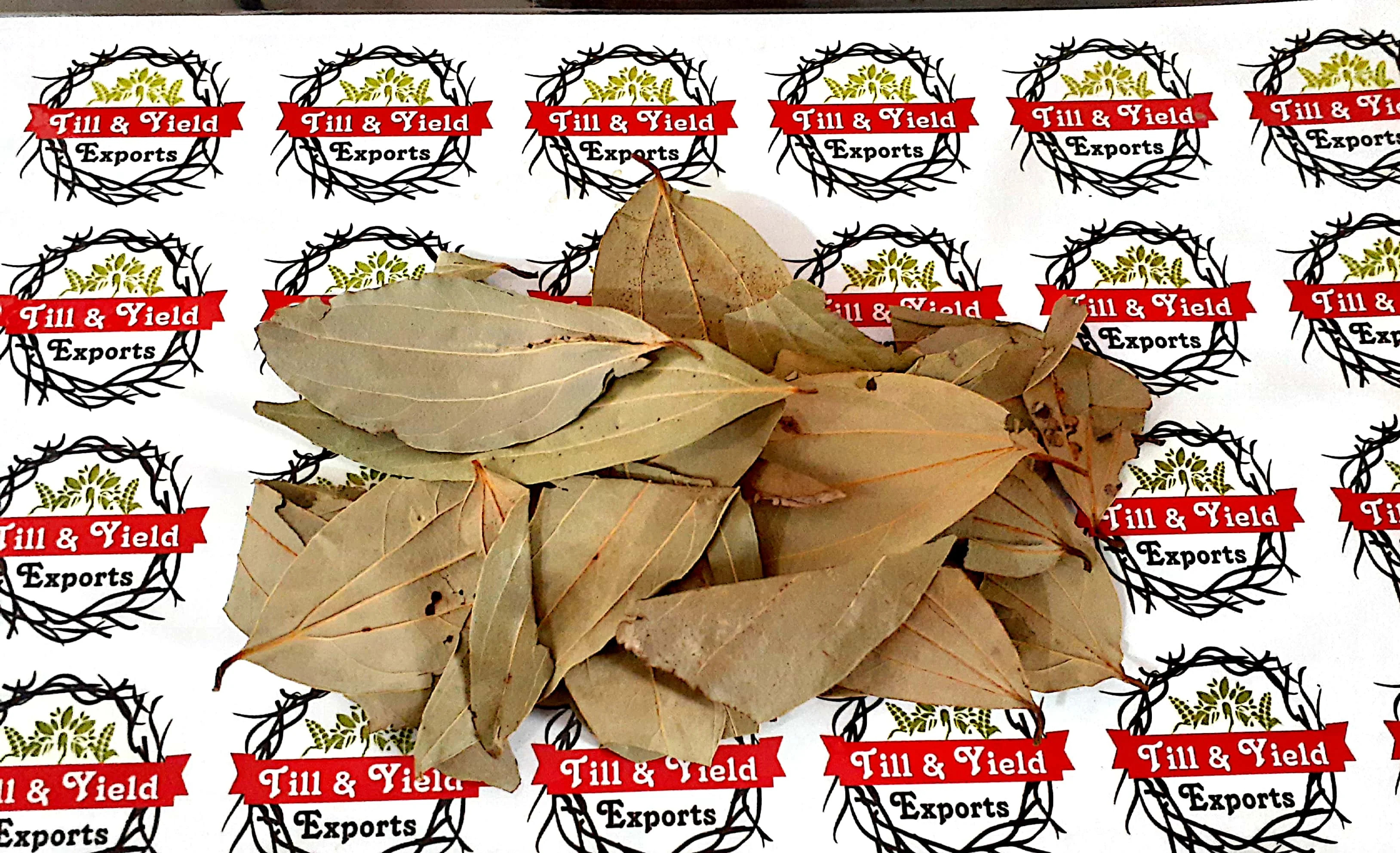 Bay Leaf/Tejpatta Zeylanicum Help Manage High Cholesterol Due To Its Antioxidant And Anti Inflammatory Properties