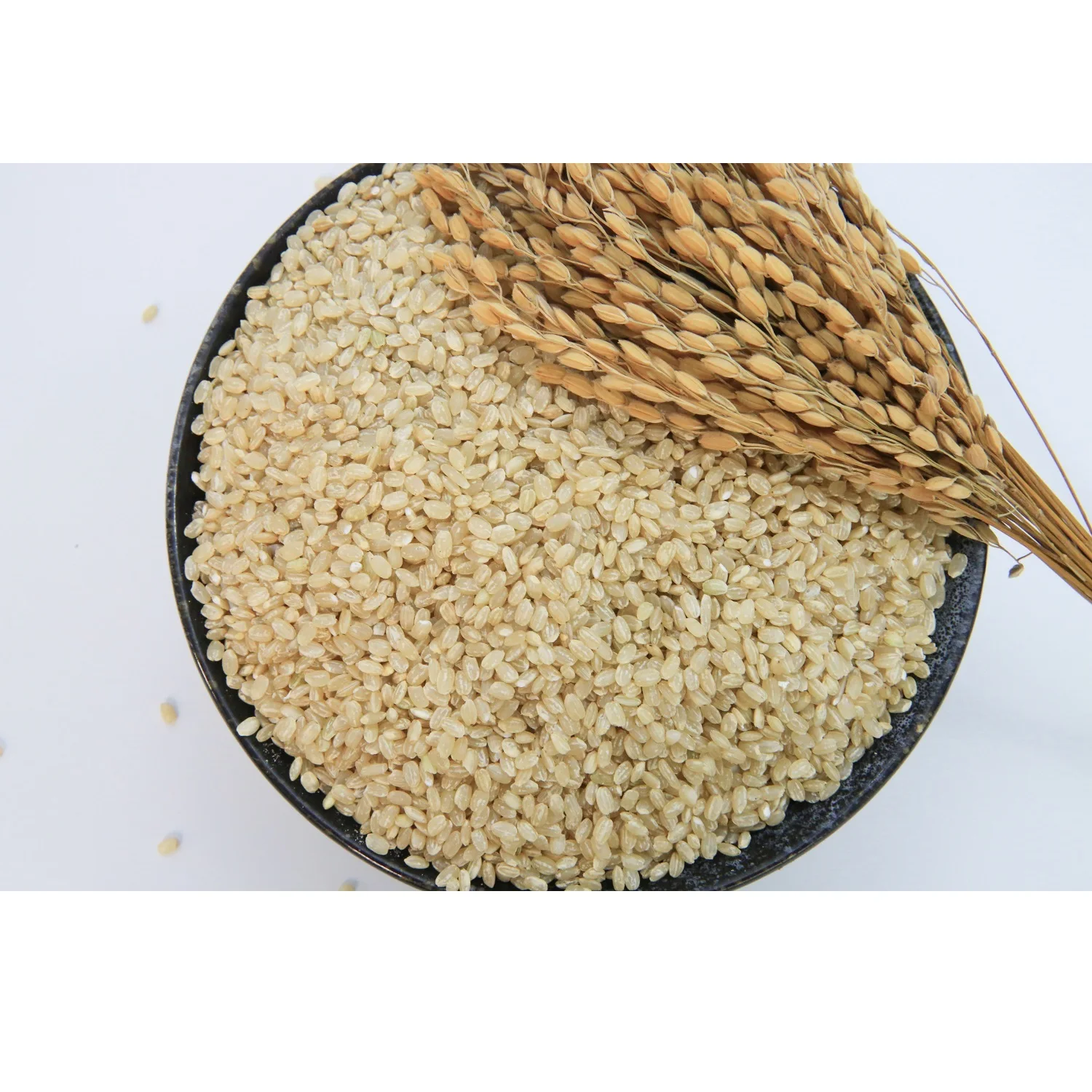 
Soft Short (Round) grain Brown Rice BROWN JAPONICA RICE Healthy Rice From Viet Nam 
