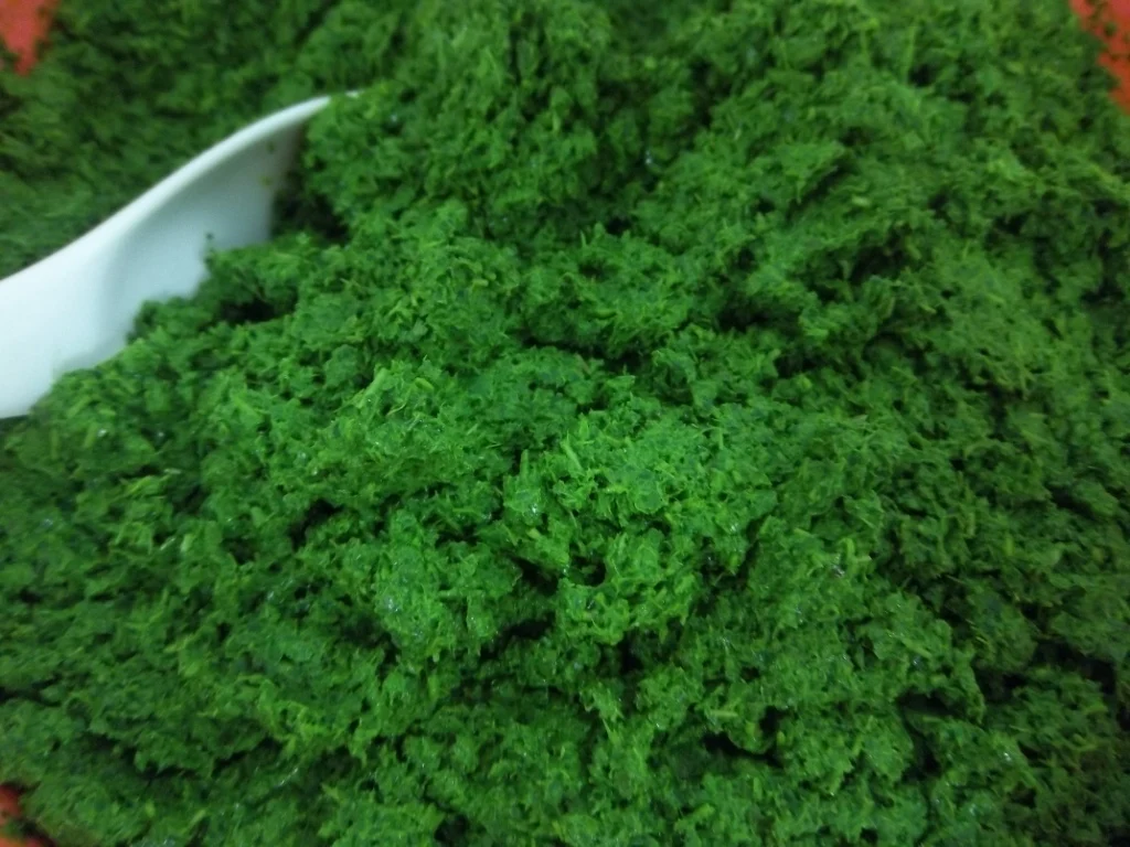 Best seller Frozen Cassava Leaf/ Frozen Pondu  Premium Grade from Vietnam/ Ms.Alice (+84 904 183 651)