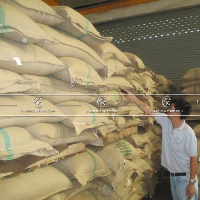 Отличный качественный вьетнамский КОФЕ Robusta самая дешевая оптовая продажа 2021