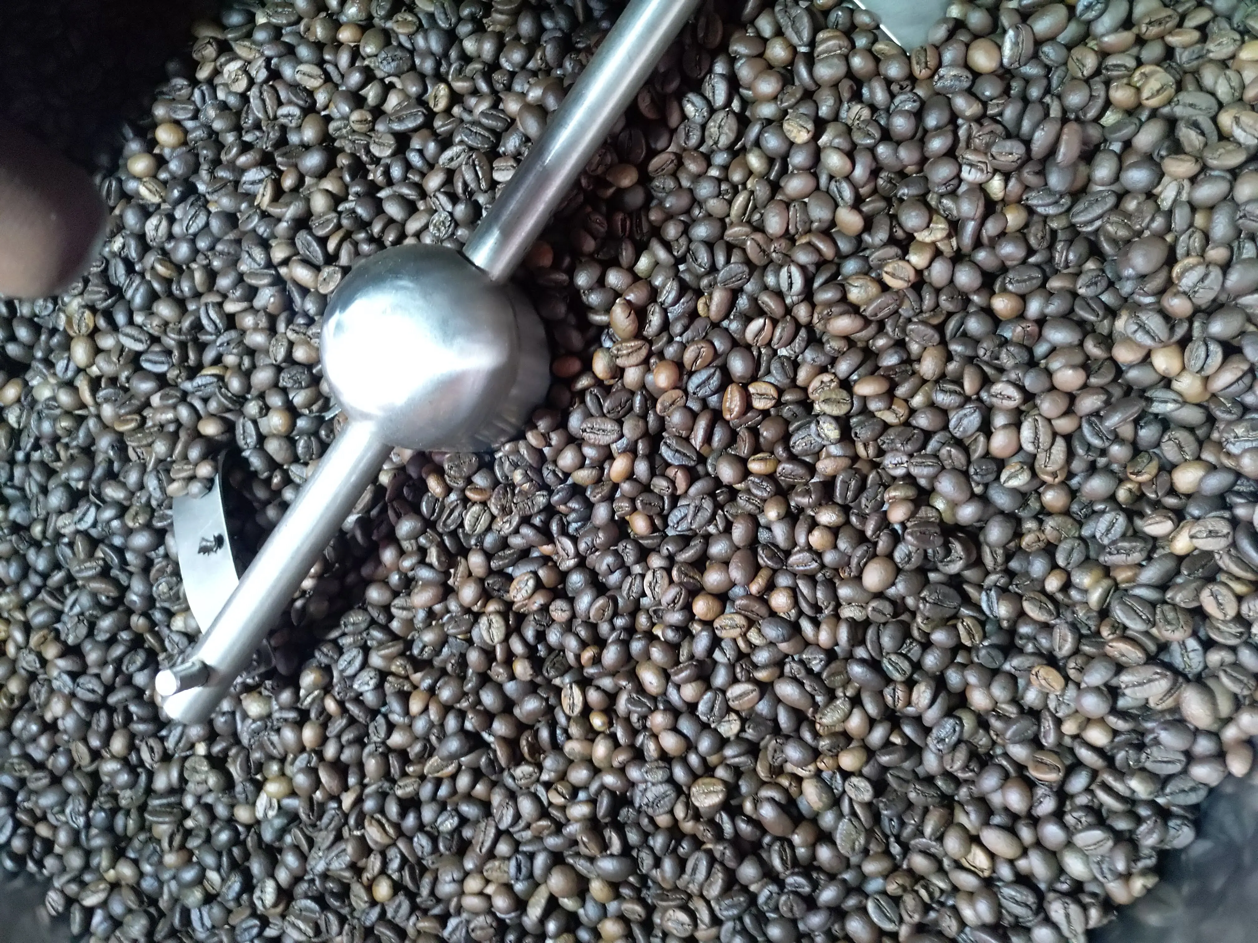 Wholesale Robusta Coffee Beans Robusta Roasted Coffee Beans Coffee Green Beans Arabica