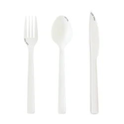 BPI Certification Made In Taiwan 16.5cm Biodegradable Corn Starch PLA Spoon