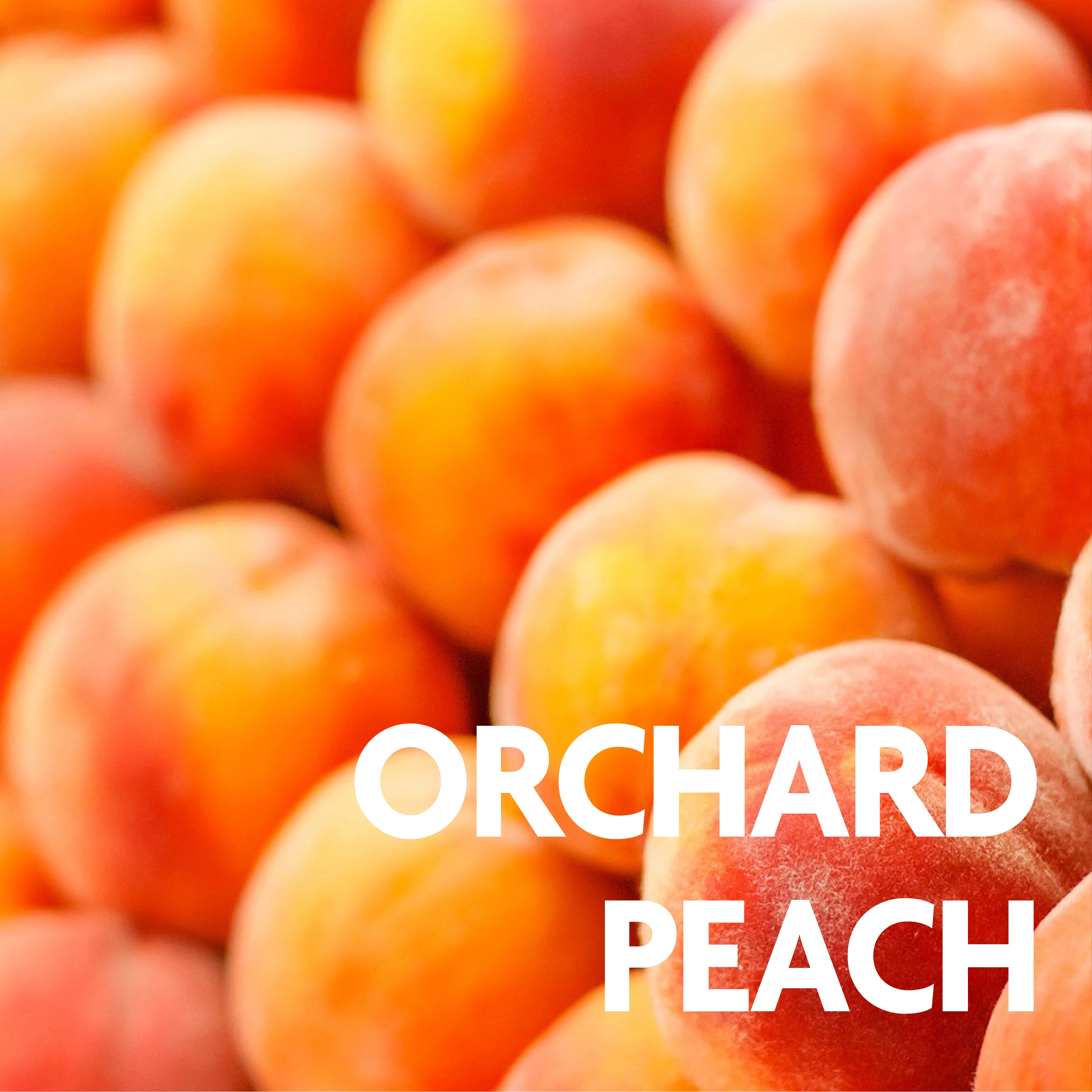 
Clearly Canadian Orchard Peach 