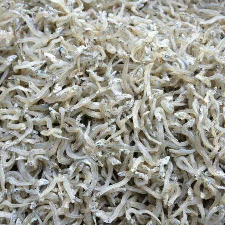 DRIED ANCHOVY FOR SALE