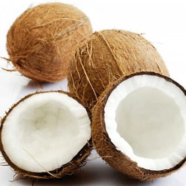 
High Quality Semi Husked Mature Coconut From Vietnam 0084 815570479  (62009988966)
