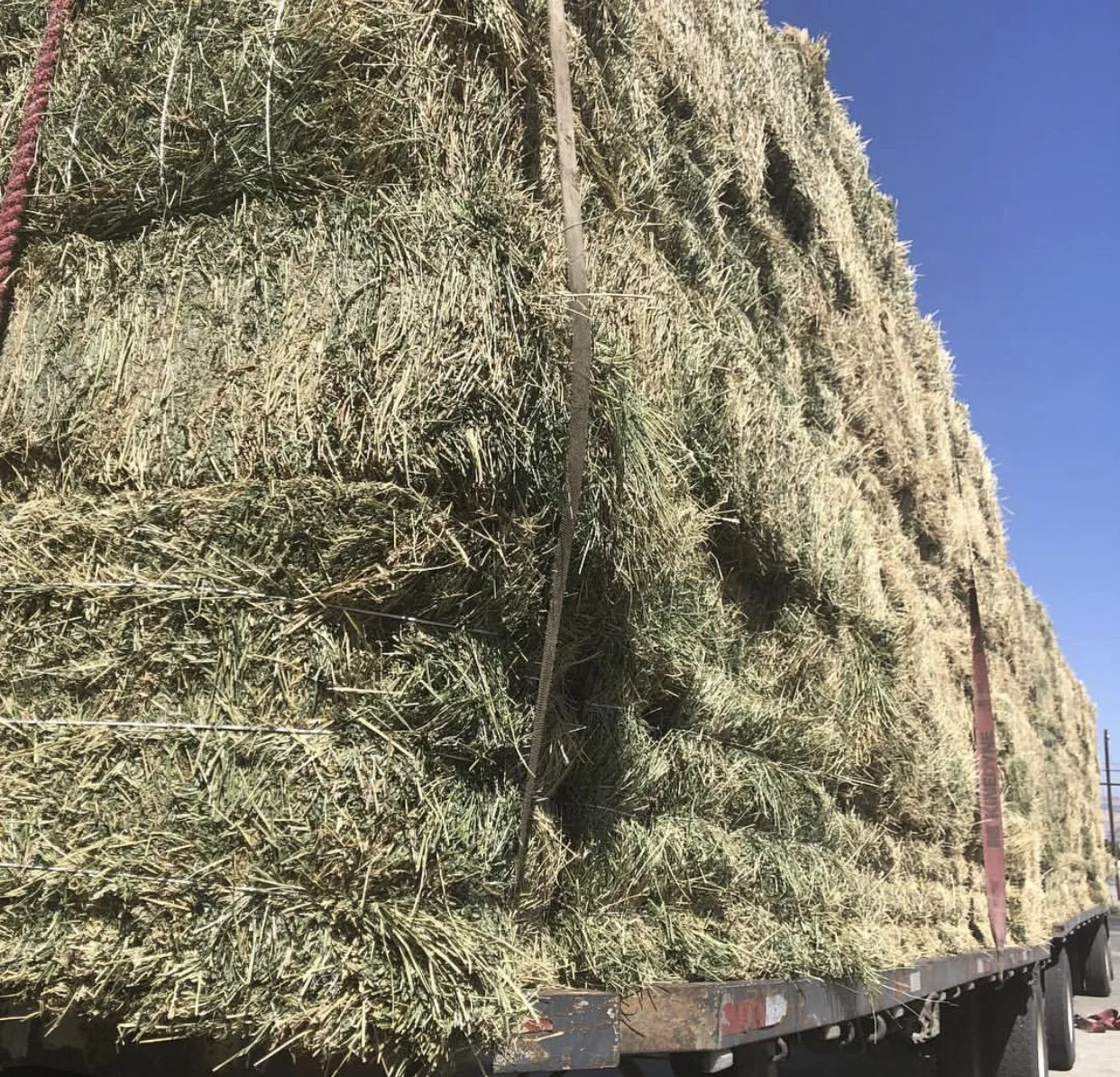 
Harvest**** Alfalfa Hay / Timothy Alfafa Hay / Rhode Hay 