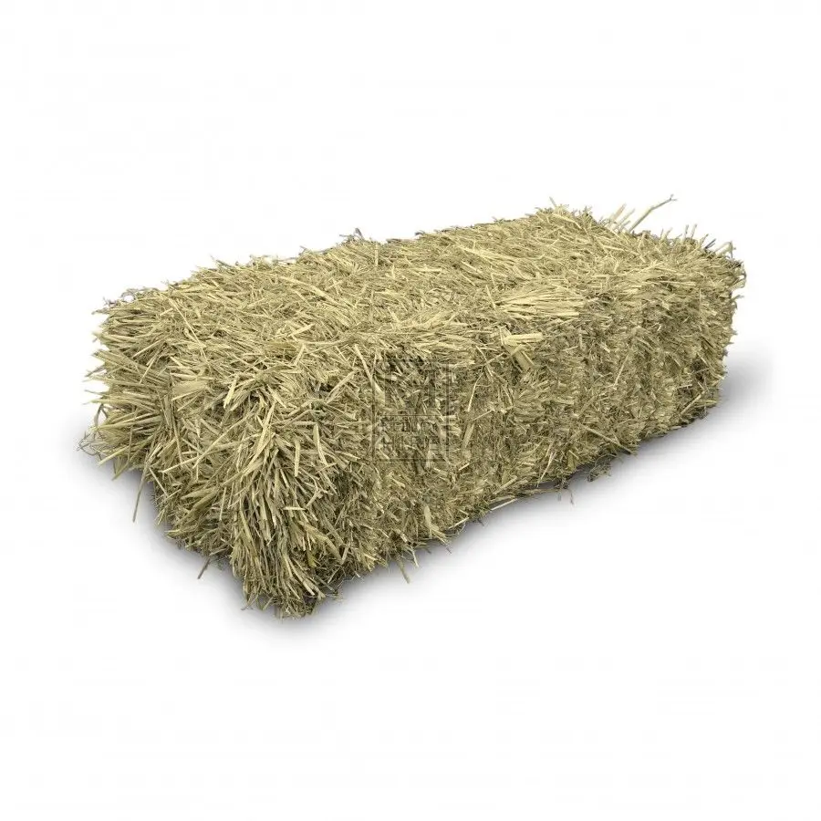 Alfalfa Hay For Sale Ver Low Prices Animal Feed Alfalfa Hay