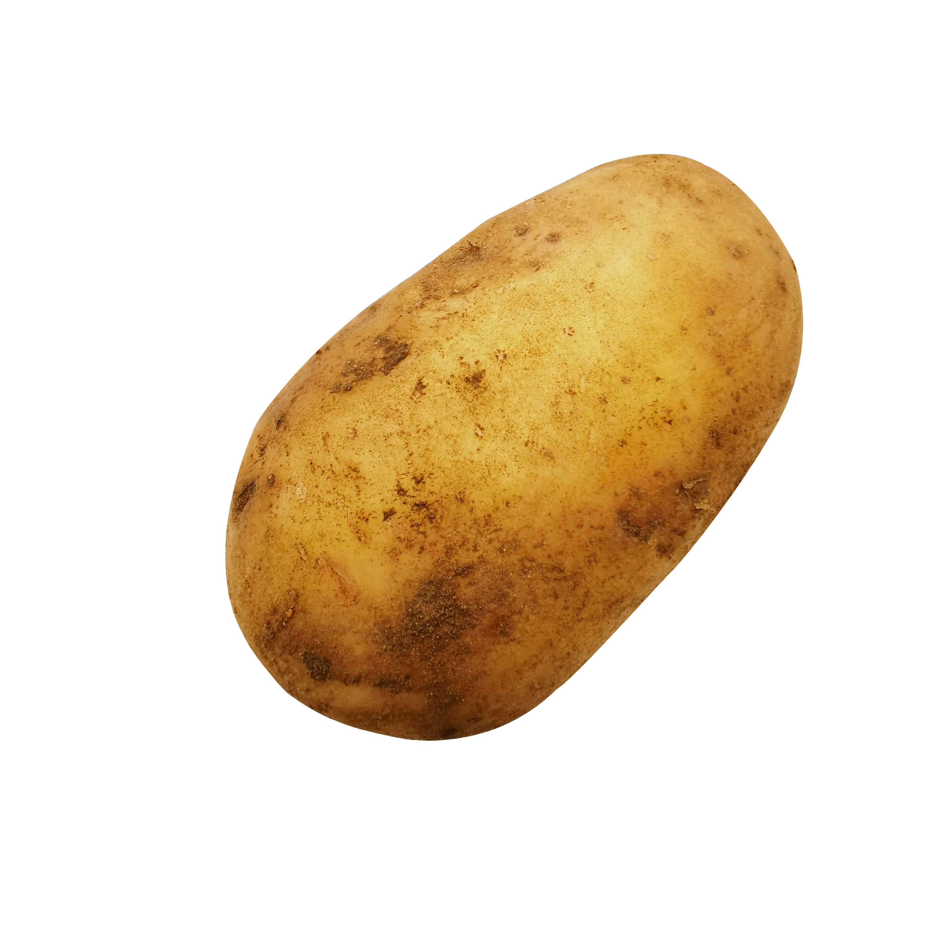 Origin in China can be available now fresh potato